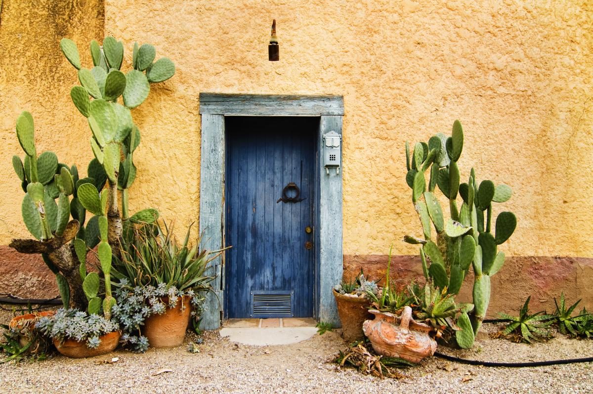 Barrio Viejo adobe, prickly pear