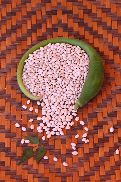 Tepary beans