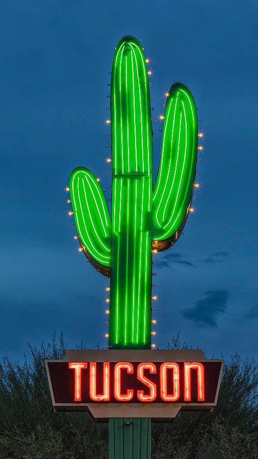 Neon saguaro, Oracle Road